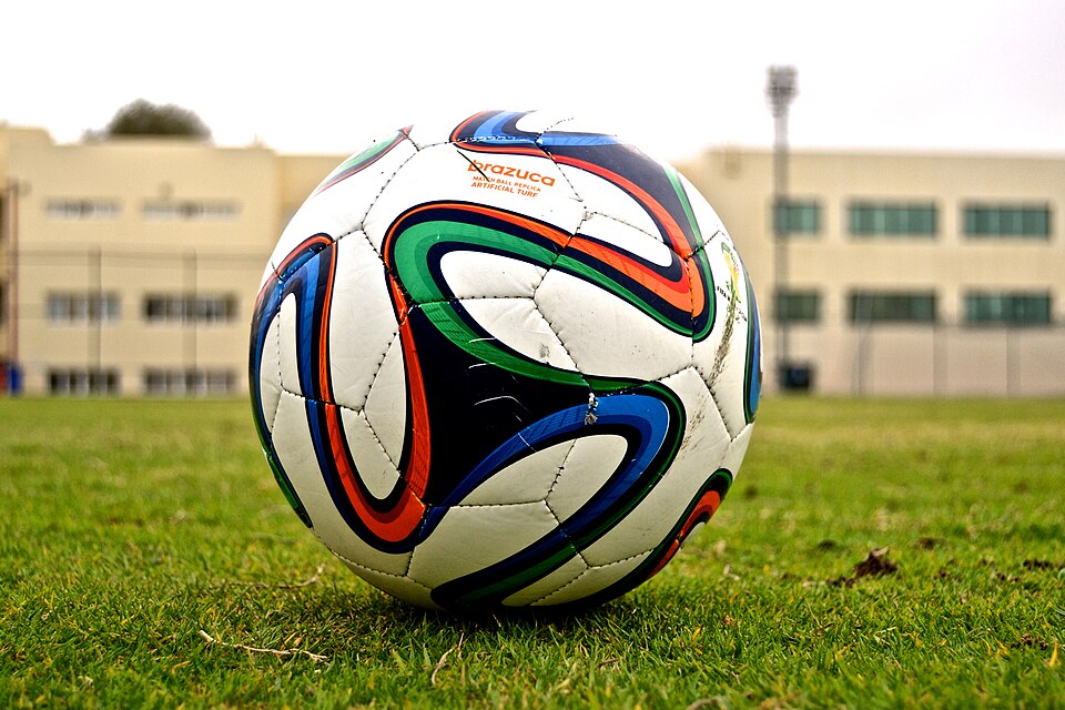 Balón de fútbol profesional N°5